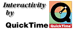 INTERACTIVITY BY QUICKTIME